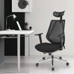 Ergonomic Mesh Chair